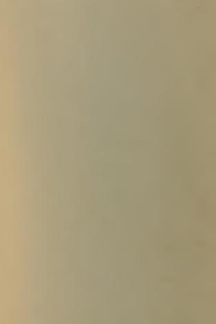 نهضت ادبی ایران در عصر قاجار