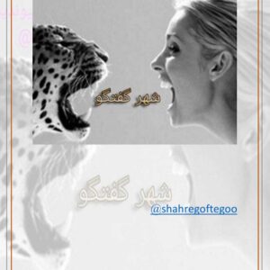 چشمان سرد چشمان سرد